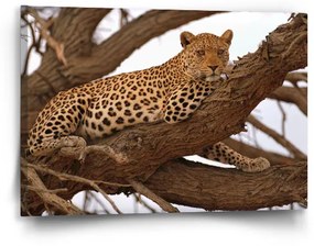 Sablio Obraz Leopard 2 - 60x40 cm