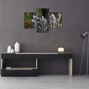 Obraz - Vlci na skale (90x60 cm)