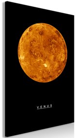 Artgeist Obraz - Venus (1 Part) Vertical Veľkosť: 40x60, Verzia: Na talianskom plátne