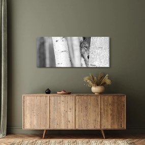 Obraz - Vlk v lese (120x50 cm)