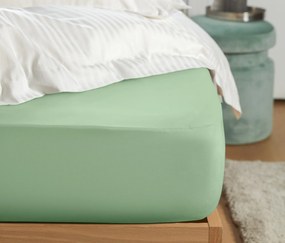 Džersejová napínacia plachta, dvojlôžko, svetlozelená