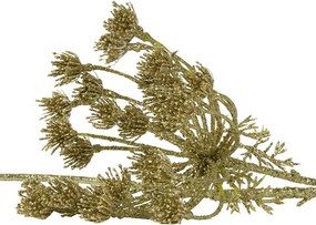 Zlatá dekoratívna kvetina Boľševník gold champagne - 85 cm