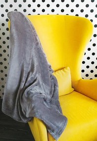 Hebká sivá jednofarebná deka z príjemnej látky Šírka: 200 cm | Dĺžka: 220 cm