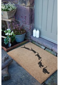 Rohožka z kokosového vlákna 60x90 cm Jumping Cats – Artsy Doormats