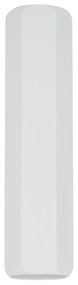 Candellux TUBE CEILING 1X25W GU10 6,3/25 WHITE 2282800