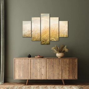 Obraz - Pole na jeseň (150x105 cm)