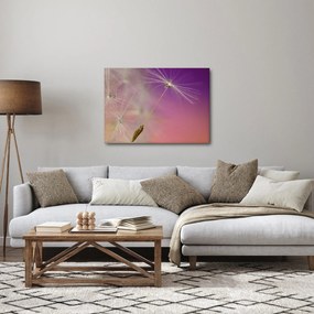 Obraz šťastia (70x50 cm)
