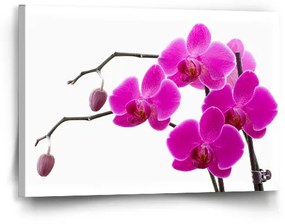 Sablio Obraz Fialové orchidey - 60x40 cm