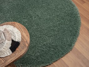 My Flair, AKCIA: 150x150 (průměr) kruh cm Kusový koberec My Shaggy hellgrün kruh, zelená, chodba / predsieň