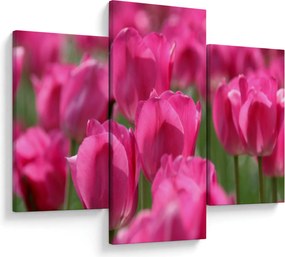 Obraz - Ružové tulipány (90x60 cm)