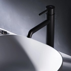 Umývadlová batéria AM.PM Spike FPA92022 vysoká, čierna