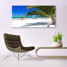 Obraz plexi Pláž palma príroda 120x60 cm