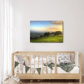 Obraz - Výhľad z kopca (90x60 cm)