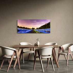 Obraz farebného poľa (120x50 cm)