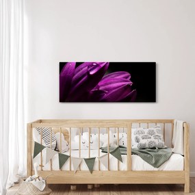 Obraz - Kvapka vody (120x50 cm)