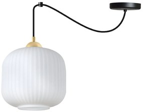 Závesné svietidlo Riffle Spider 2, 1x biele sklenené tienidlo, b/g