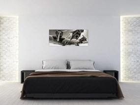 Obraz - Historické lietadlo (120x50 cm)