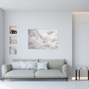 Obraz - Biele perie (90x60 cm)