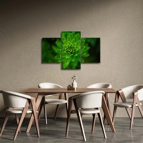 Obraz ihličnanu (90x60 cm)