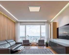 Globo 41596D2 - LED Stmievateľné stropné svietidlo LED/24W/230V 2700-6500K+DO