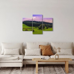 Obraz lúky (90x60 cm)
