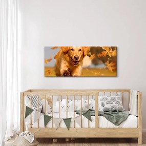 Obraz - Zlatý retriever (120x50 cm)