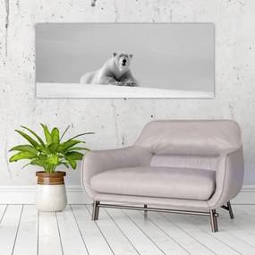 Obraz - Ľadový medveď (120x50 cm)
