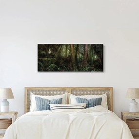 Obraz - Tajomný les (120x50 cm)