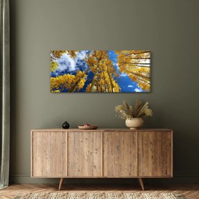 Obraz - Aspen (120x50 cm)