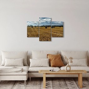 Obraz zozbieraného obilného poľa (90x60 cm)