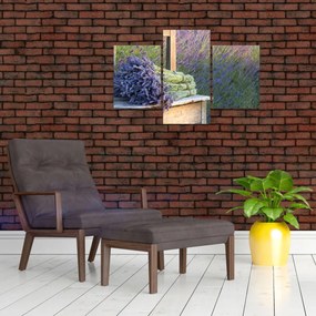 Obraz - Levanduľové zväzky (90x60 cm)