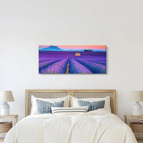 Obraz - Levanduľové pole (120x50 cm)