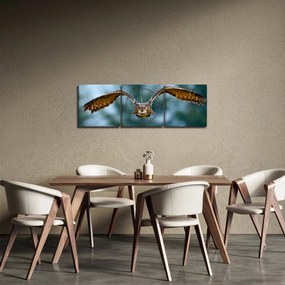 Obraz - Sova pri lete (s hodinami) (90x30 cm)