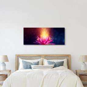 Obraz lekna na vode (120x50 cm)