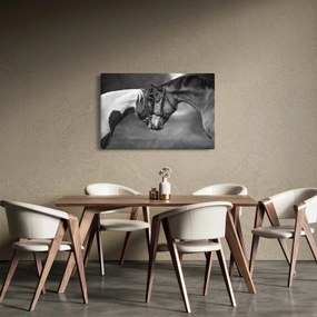 Obraz - Zamilované kone, čiernobiela (90x60 cm)