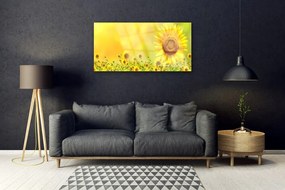 Skleneny obraz Slnečnica kvet rastlina 120x60 cm