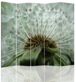 Gario Paraván Krásna púpava Rozmery: 180 x 170 cm, Prevedenie: Otočný paraván 360°