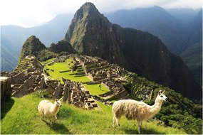 Obraz - Machu Picchu (90x60 cm)