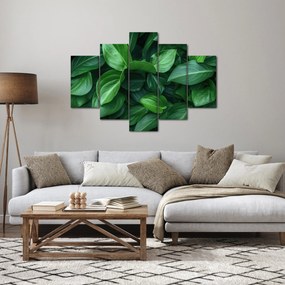 Obraz - Zelené listy (150x105 cm)