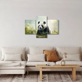 Obraz - Panda (90x60 cm)