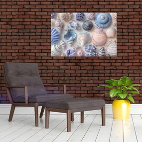 Obraz - Zbierka mušlí (90x60 cm)