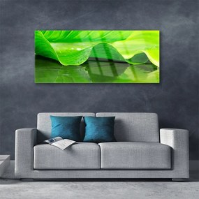 Obraz plexi List roslina příroda 125x50 cm