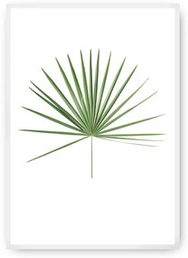 Plagát Tropical Leaf Green