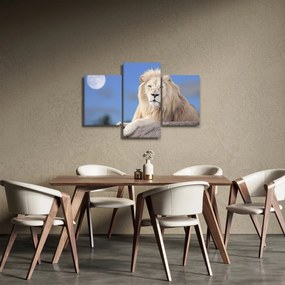 Obraz - Biely lev (90x60 cm)