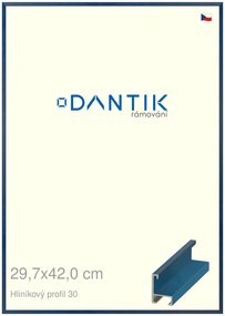 DANTIK rám na obraz 29,7x42 | ALU Dýha barevná modrá královská (Plexi Čiré)