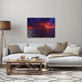 Obraz mora s vtákmi (70x50 cm)