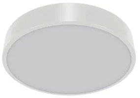 STRÜHM Stropné svietidlo TOTEM LED C 48W WHITE Neutral White 4095