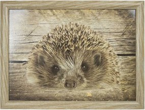 Podnos na nohy s ježkom - 43 * 33 * 7cm