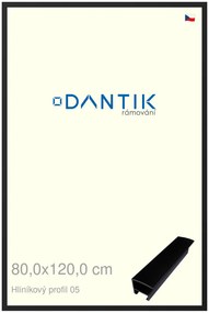 DANTIK rám na obraz 80x120 | ALU Černá matná (Plexi Čiré)