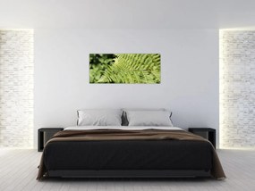 Obraz - Papradinový list (120x50 cm)
